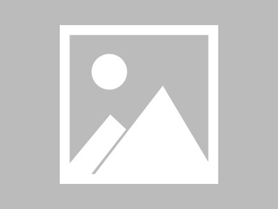 跨境电商服务升级与国际化布局，新亮点