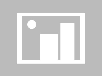 数字展——数字分会标志